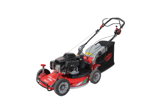 Immagine di RASAERBA/TOSAERBA 550 PRO HONDA CON BBC