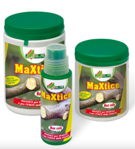 Immagine di MAXTICE 250 G  MASTICE  INNESTI IN BARATTOLO