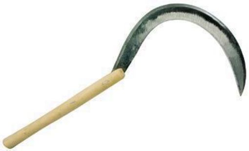 Immagine di FALCIOLE MATTEO N.3/4