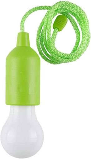 Immagine di LAMPADINA A LED MULTIUSO CON CAVO TIRAGGIO BATTERIE NON INCLUSE