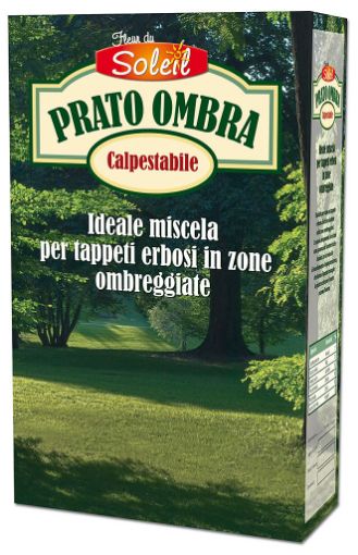 Immagine di PRATO OMBRA 1KG