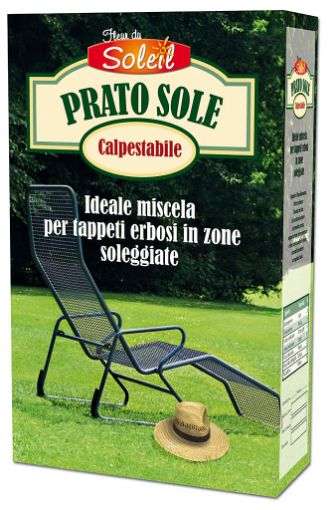 Immagine di MISCUGLIO PER PRATO SOLE 1KG