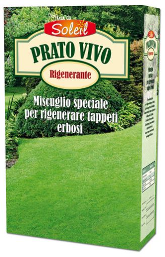 Immagine di MISCUGLIO PER PRATO VIVO KG.1