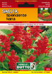 Immagine di B.EX.GOLD SALVIA SPLENDIDA ALTA