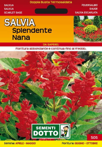 Immagine di B.EX.GOLD SALVIA SPLENDIDA ALTA