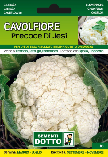 Immagine di BUSTA PICCOLA CAVOLFIORE PRECOCE DI JESI