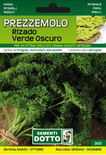 Immagine di BUSTA PICCOLA PREZZEMOLO RIZADO VERDE OSCURO