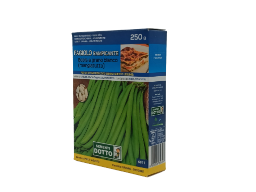 Immagine di DT GR.250 FAGIOLO BOBIS A GRANO BIANCO RAMP.