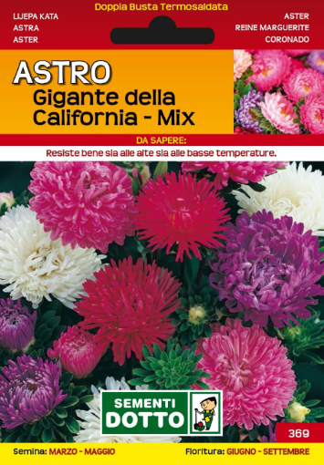 Immagine di BUSTA PICCOLA ASTRO GIGANTE IN MIX