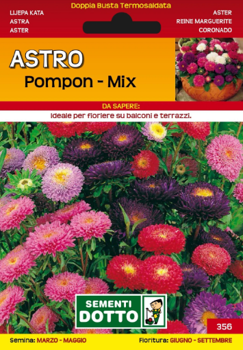 Immagine di BUSTA PICCOLA ASTRO POMPON IN MIX