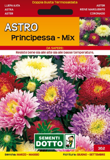 Immagine di BUSTA PICCOLA ASTRO PRINCIPESSA MIX