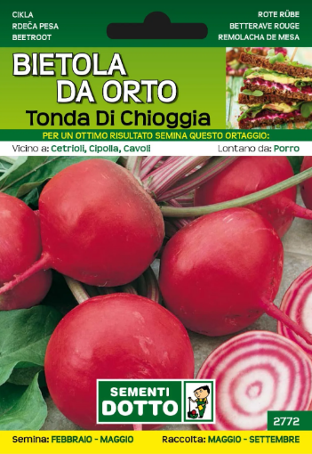 Immagine di BUSTA PICCOLA BIETOLA ROSSA TONDA DI CHIOGGIA