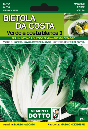 Immagine di BUSTA PICCOLA BIETOLA DA COSTE VERDE A COSTA BIANCA 3