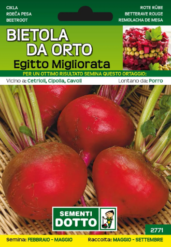 Immagine di BUSTA PICCOLA BIETOLA DA ORTO EGITTO MIGLIORATA