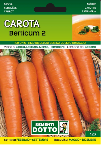 Immagine di BUSTA PICCOLA CAROTA BERLICUM 2