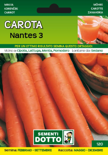Immagine di BUSTA PICCOLA CAROTA NANTES 3