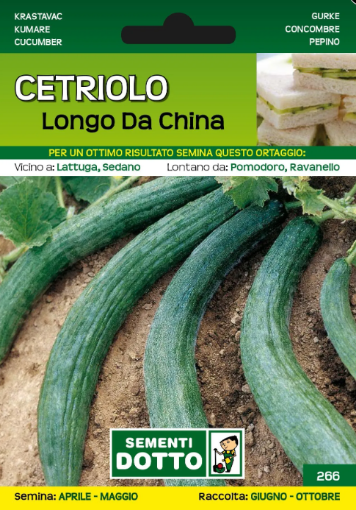 Immagine di BUSTA PICCOLA CETRIOLO LONGO DA CHINA