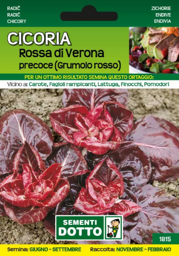 Immagine di BUSTA PICCOLA CICORIA ROSSA DI VR (SEL.GRUM.ROSSO)