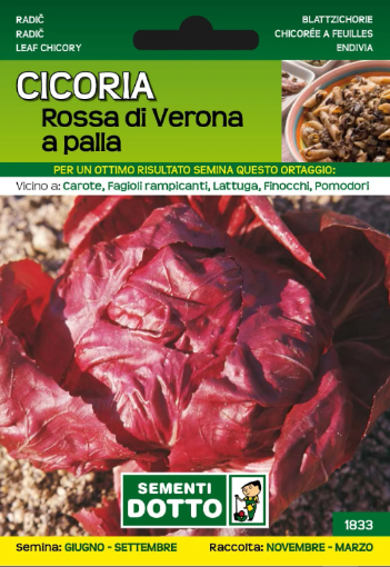 Immagine di BUSTA PICCOLA CICORIA ROSSA VERONA PALLA