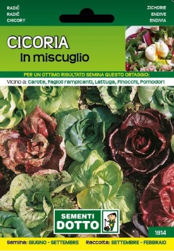Immagine di BUSTA PICCOLA CICORIA O RADICCHIO IN MIX