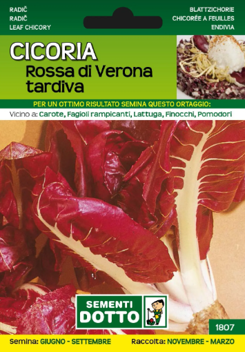 Immagine di BUSTA PICCOLA CICORIA ROSSA DI VERONA TARDIVA