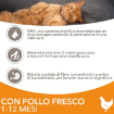 Immagine di IAMS CAT KITTEN POLLO KG.10