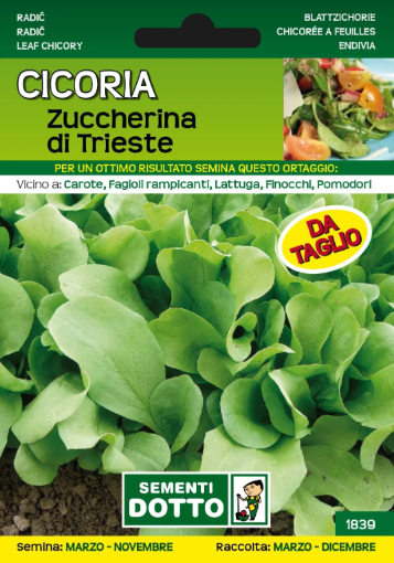 Immagine di BUSTA PICCOLA CICORIA TRIESTINA DA TAGLIO