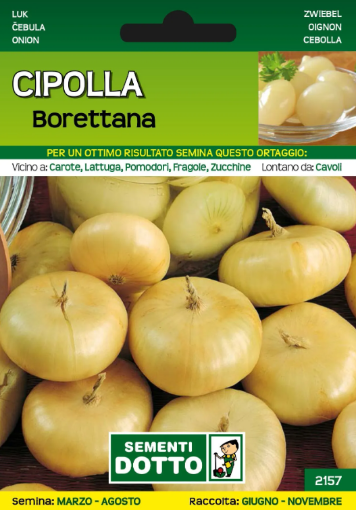 Immagine di BUSTA PICCOLA CIPOLLA BORETTANA SOTTAC.