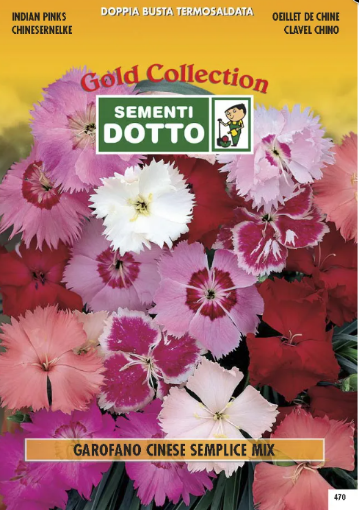 Immagine di BUSTA PICCOLA GAROFANO CINESE SEMPLICE