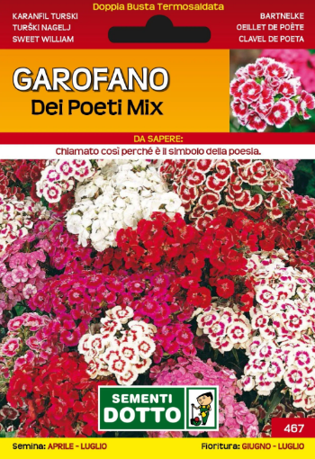 Immagine di BUSTA PICCOLA GAROFANO DEI POETI MIX