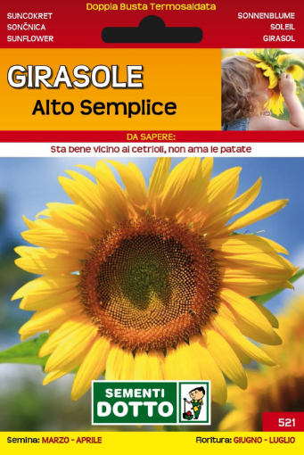 Immagine di BUSTA PICCOLA GIRASOLE ALTO SEMPLICE