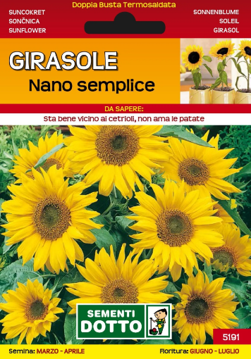 Immagine di BUSTA PICCOLA GIRASOLE NANO IN MIX