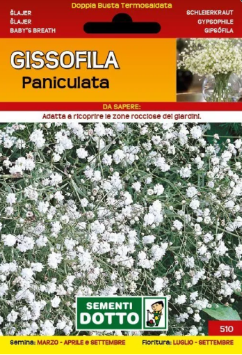 Immagine di BUSTA PICCOLA GISSOFILA PANICULATA BIANCA