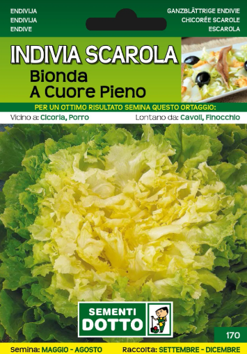 Immagine di BUSTA PICCOLA INDIVIA SCAROLA BIONDA A CUOR PIENO