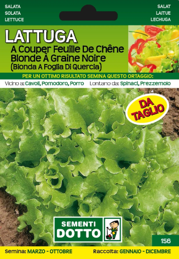 Immagine di BUSTA PICCOLA LATTUGA A COUPER FEUILLE DE CHENE BL.A GR.NOIRE