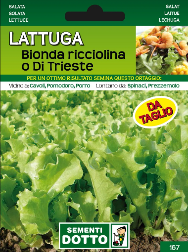 Immagine di BUSTA PICCOLA LATTUGA BIONDA RICCIOLINA O DI TRIESTE