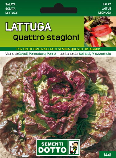Immagine di BUSTA PICCOLA LATTUGA QUATTRO STAGIONI