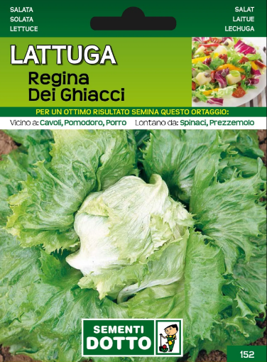 Immagine di BUSTA PICCOLA LATTUGA REGINA DEI GHIACCI