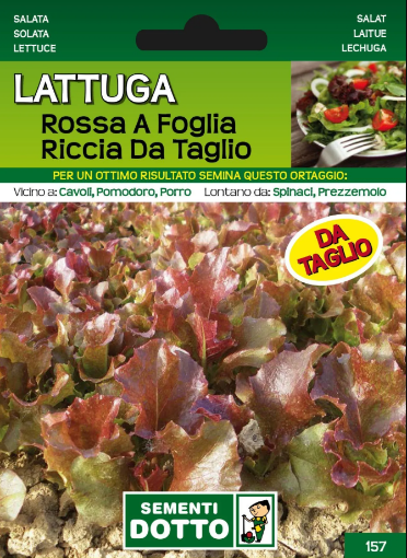 Immagine di BUSTA PICCOLA LATTUGA ROSSA A  FOGLIA RICCIA DA TAGLIO