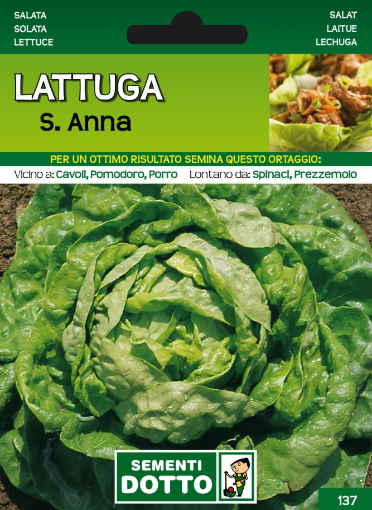 Immagine di BUSTA PICCOLA LATTUGA S.ANNA