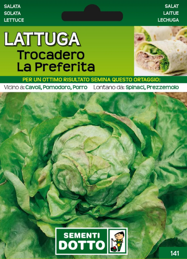 Immagine di BUSTA PICCOLA LATTUGA TROCADERO