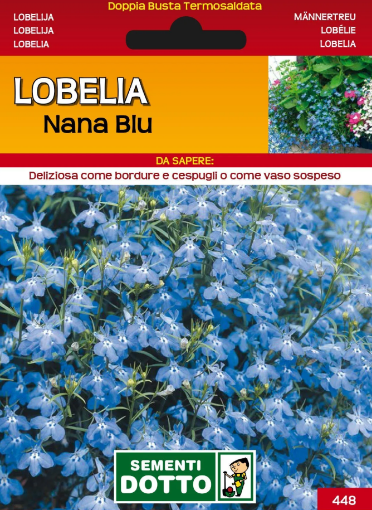 Immagine di BUSTA PICCOLA LOBELIA NANA BLU