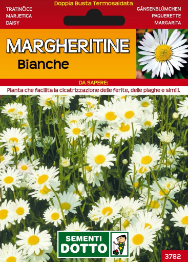 Immagine di BUSTA PICCOLA MARGHERITINE BIANCHE