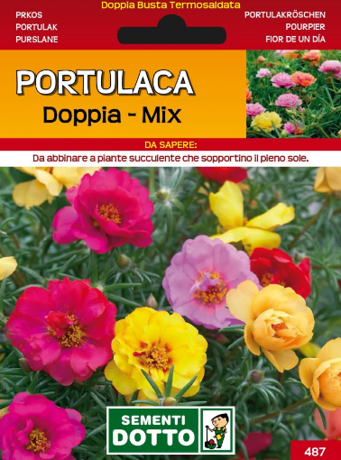 Immagine di BUSTA PICCOLA PORTULACA DOPPIA MIX