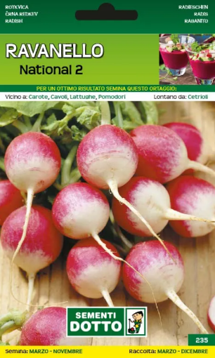 Immagine di BUSTA PICCOLA RAVANELLO NATIONAL 2