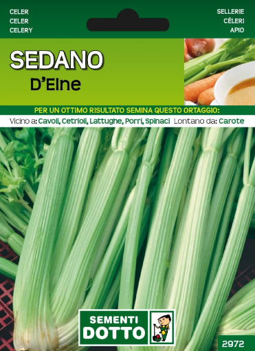 Immagine di BUSTA PICCOLA SEDANO DELNE