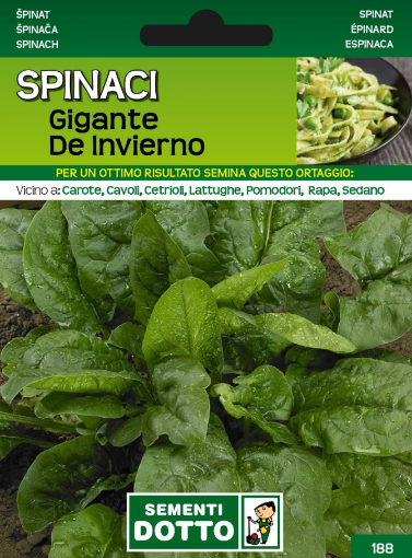 Immagine di BUSTA PICCOLA SPINACI GIGANTE DE INVERNO