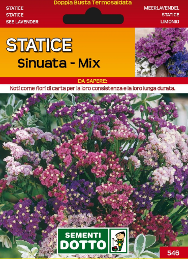 Immagine di BUSTA PICCOLA STATICE SINUATA MIX