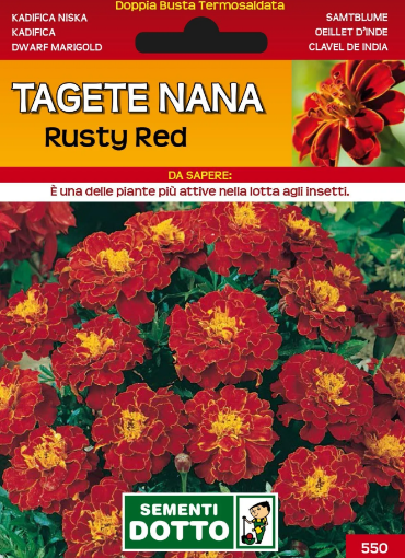 Immagine di BUSTA PICCOLA TAGETE NANA RUSTY RED