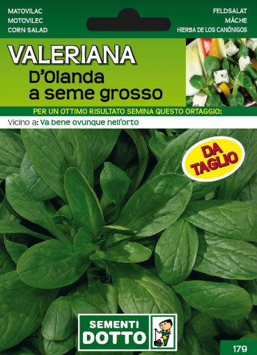 Immagine di BUSTA PICCOLA VALERIANA DOLANDA A SEME GROSSO